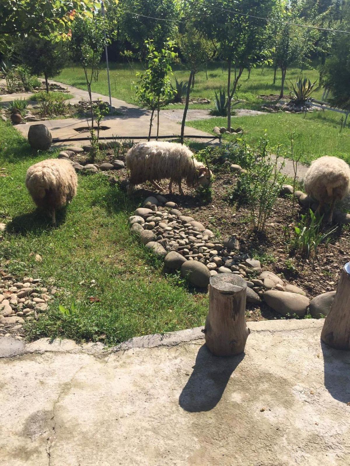 Mera Hostel Partskhanaqanevi Buitenkant foto